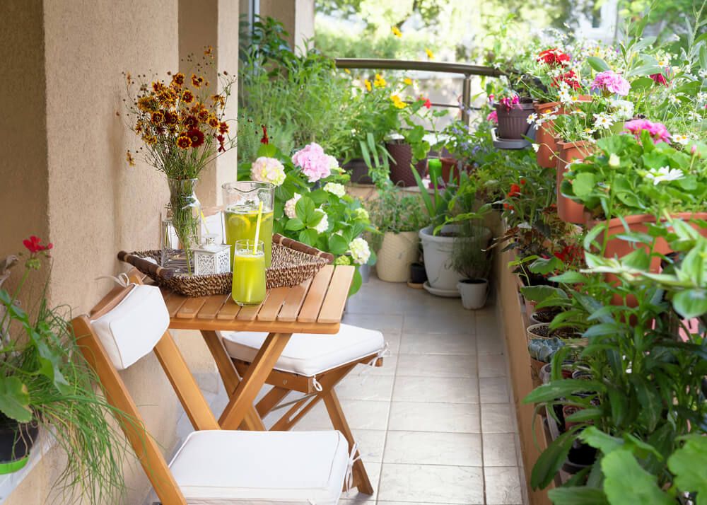 balcony garden oasis