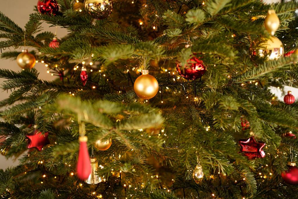 close up of a pine tree with decorations