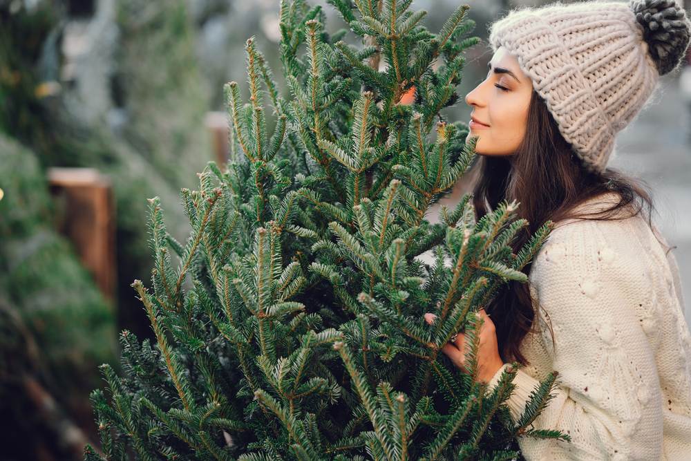 woman smelling a real christmas tree