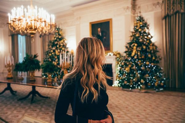 decoración navideña 2024, salón con árboles de navidad